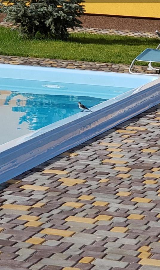 Starosvetskiy Pan Myrhorod Exteriör bild